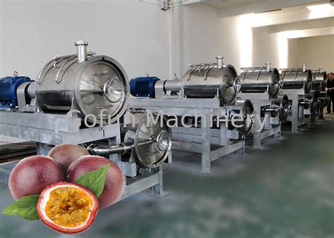 fruit processing machine|Fruit & Vegetable Processing Solutions .